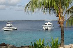 Bonaire Diving Holiday